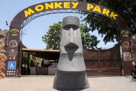 Entrada al Monkey Park