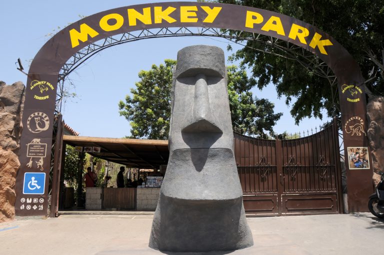 Monkey Park, Zoo a Los Cristianos en Tenerife Sur